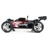 Buggy WL Toys A959 1/18 - RTR (ROJO)