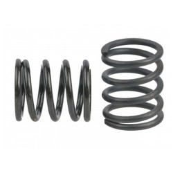 MUELLE DEL. 1.9mm BLACK OPC. (2u.)MRX-5 MUGEN