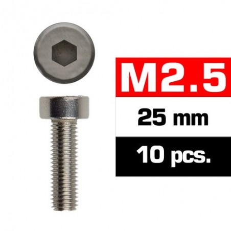 Tornillo cilindrico M2,5x25 mm x10 uds.
